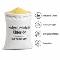 Chlorure de polyaluminium granulaire 30% PAC en poudre pour l'eau potable