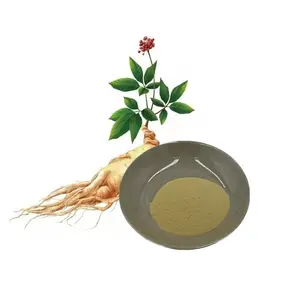 Ginseng Root Extract Powder 80% Ginsenoside Powder Ginsenoside RH3 10%-90% Powder