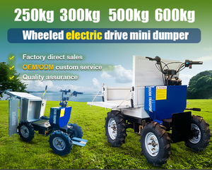 Mini-dumper électrique à prix réduit avec mini-dumper électrique à essence pour machines agricoles et camions - Product Image 5
