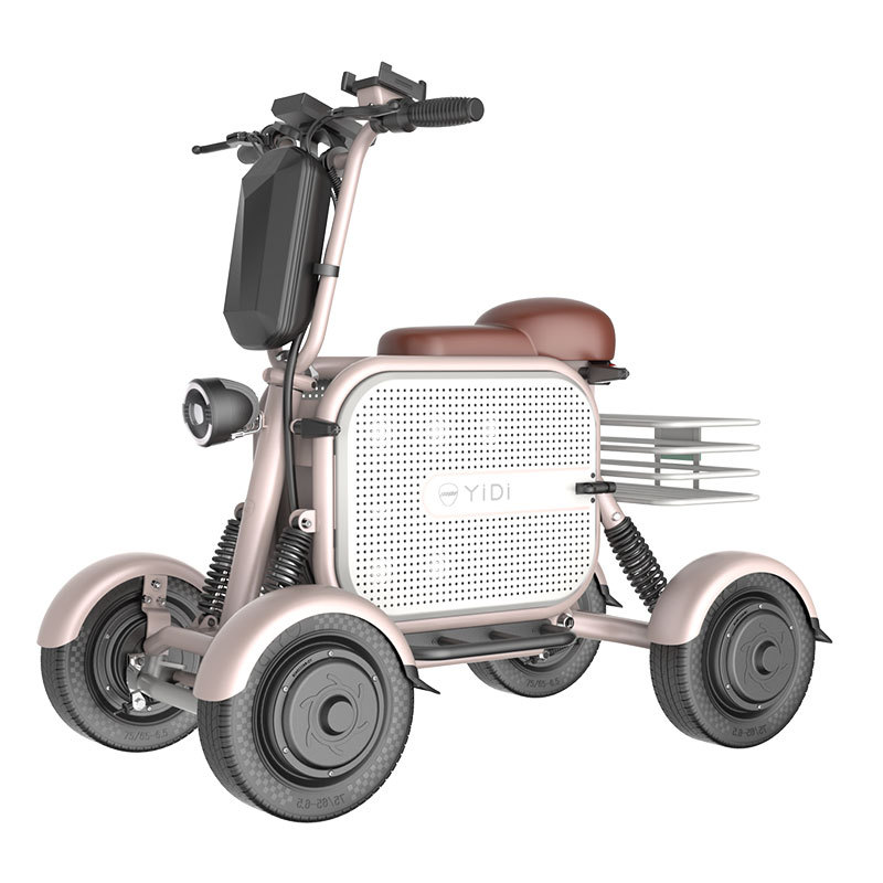 48V 500W 1000W Lithium Battery Adult