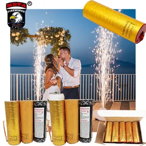 25 Schoten Romeinse Kaars Wil Je Met Me Trouwen Vuurwerk Schelpen 10 Inch Shell Ssilver Pyro Stage Jet Party Streamer En Confett