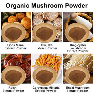 <span class=keywords><strong>S</strong></span>ư tử <span class=keywords><strong>S</strong></span> bờm nấm chiết xuất bột hericium erinaceus chiết xuất cung cấp <span class=keywords><strong>s</strong></span>ố lượng lớn OEM tùy biến - Product Image 3
