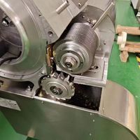 RVS gemotoriseerde ui- en wortelsnijmachine, 1,5-2,5 kW vermogen, geschikt voor restaurants en cafeterias, voor het snijden van fruit en groenten.