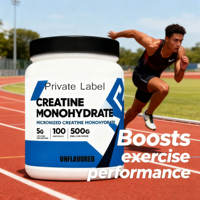 Poudre de monohydrate de créatine micronisée de qualité supérieure en gros Nutrition sportive pour adulte 500G pré-entraînement post-entraînement