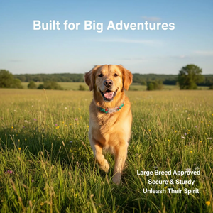 <strong>2026</strong> Dog Accessory Handmade Paracord Braided <strong>LED</strong> Dog <strong>Collars</strong> Reflective Anti-loss Comfortable Night <strong>Pet</strong> Necklace - Product Image 3