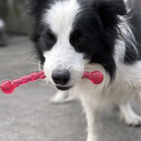 Bâton à mâcher résistant aux morsures pour grands chiens, jouet interactif en TPR pour stimuler l'esprit et l'entraînement cérébral des chiens