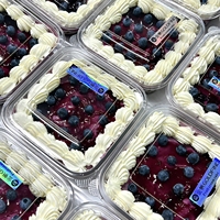 Boîtes à gâteaux, pâtisseries, biscuits et sandwichs en plastique PET transparent de haute qualité, jetables, avec couvercles