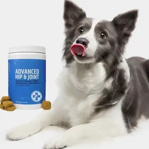 Chăm sóc sức khỏe con chó sản phẩm Doanh Bổ sung MSM hip & Joint - Dog Doanh bổ sung