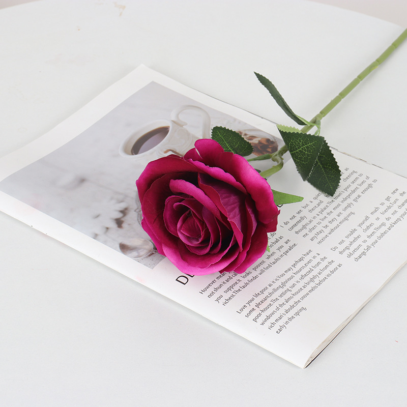 Rose-Purple