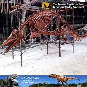 MY DINO DS-135 Amazing Science Museum Dinosaur Skeleton Mosasaur Exhibition - Product Image 4