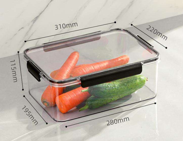 5.5l extra large size; length 310*width 220*height 115mm