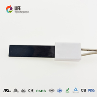 400W-750W Chauffage électrique à granulés en céramique Si3N4 Nitrure de silicium Surface chaude pour gaz domestique/carburant 230V/220V/110V/120V