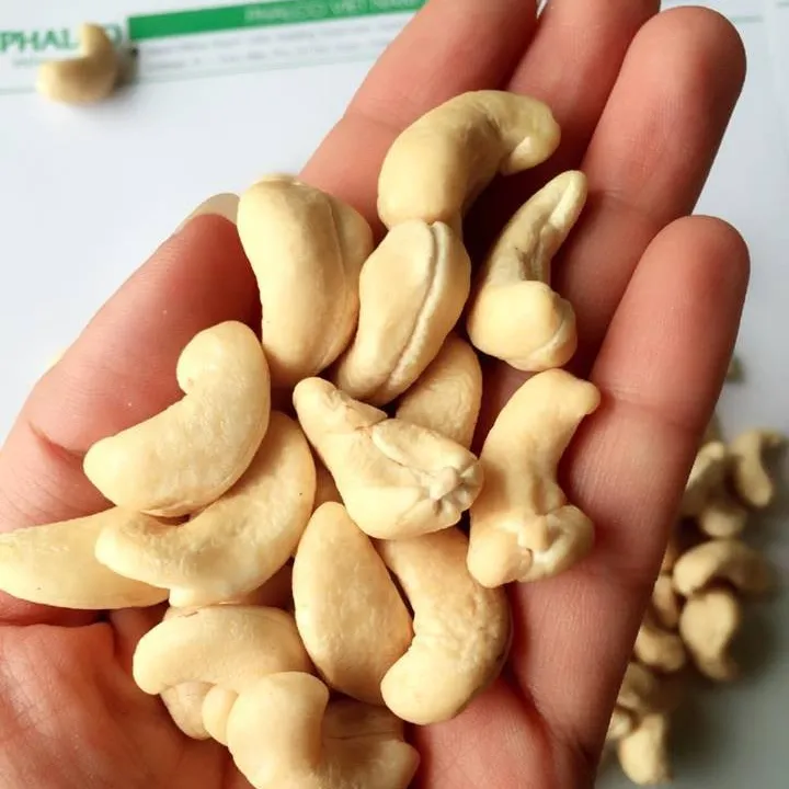 BEST QUALITY CASHEW NUT EXPORTER QUALITY Processed Cashew Nut Sell Vietnam Bag Crop Style Good Packaging