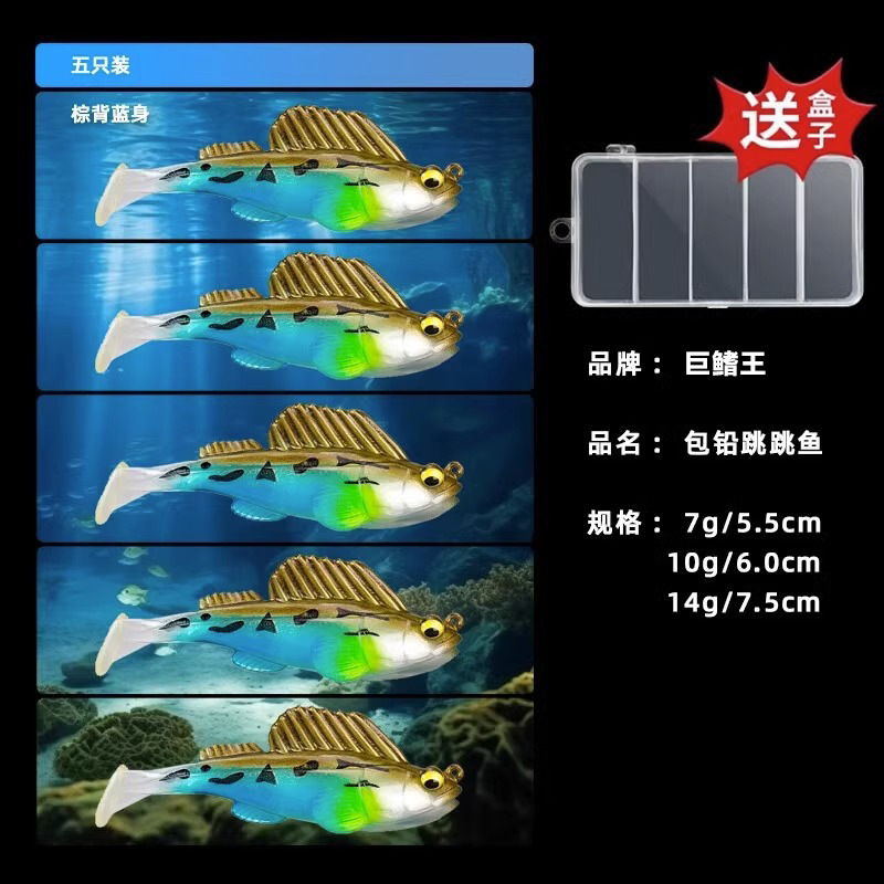14g Brun Dos Bleu Corps [Lot de 5] avec Boîte à Leurres Incluse