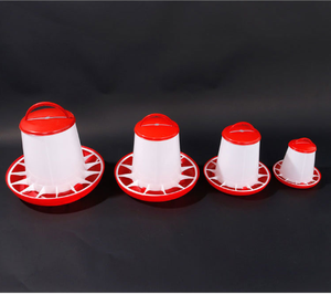 Bebedero de agua para aves de corral, máquina de moldeo por inyección, 12L, 10L, 8L, 2KG, 4KG, 8KG - Product Image 3