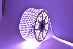 <span class=keywords><strong>Tira</strong></span> de Luces <span class=keywords><strong>LED</strong></span> Flexible, <span class=keywords><strong>tira</strong></span> de Luces de fábrica de alto voltaje, 220V, 5050 <span class=keywords><strong>RGB</strong></span>, 60leds/m, resistente al agua IP67 - Product Image 6