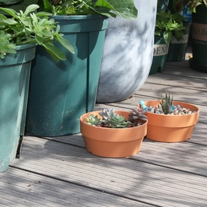Vaso di Terracotta imitazione Yicai per piante fioriera succulenta <span class=keywords><strong>con</strong></span> foro di drenaggio contenitori per piante di Cactus - Product Image 3