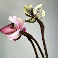 Model Penjualan Bunga Piphidium Paphiopedilum Berkualitas Tinggi Desain Floral untuk Ruangan Dekorasi Rumah Anggrek