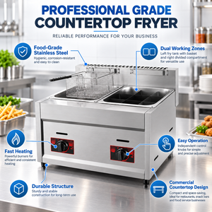 Friggitrice Professionale a Gas 6L in Acciaio Inox, Vasca Singola, GPL/GNL, Accensione Elettronica 220V, per Ristoranti, Garanzia 1 Anno - Product Image 4
