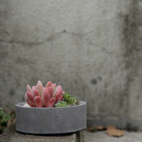 Jardinière en béton cylindrique courte gris clair, style thérapeutique, très vendue, spéciale succulentes, respirante, mate, vente en gros