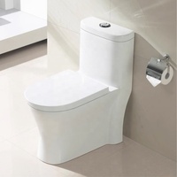 Cuvette de toilette moderne en porcelaine à double chasse pour hôtels Structure monobloc avec siphon en S Drainage WC Toilette