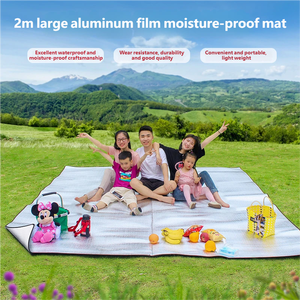 2 X 2M <b>Outdoor</b> Double-Sided 15mm Thick PVC Moisture-Proof Foldable <b>Mat</b> for Beach Picnic Multi-Person Camping 4 Seasons - Product Image 4