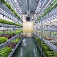 Grand conteneur d'expédition en acier inoxydable 304 avec contrôle automatique de la température et de l'humidité pour ferme de fraises commerciale verticale