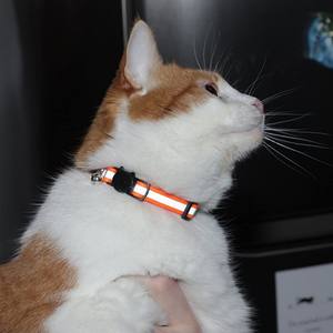 <span class=keywords><strong>Collar</strong></span> de gato a rayas de nailon reflectante mejorado con cabeza de gato ligera ajustable hebilla separable y campana de <span class=keywords><strong>Collar</strong></span> de Mascota para gatos y perros - Product Image 2