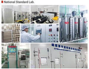 Système d'<span class=keywords><strong>aspirateur</strong></span> central puissant Heavy Duty 20L Haute qualité Performance <span class=keywords><strong>Aspirateur</strong></span> domestique intégré - Product Image 6