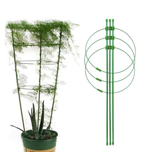 Haute qualité <span class=keywords><strong>pas</strong></span> <span class=keywords><strong>cher</strong></span> métal jardin piquets <span class=keywords><strong>plante</strong></span> piquet <span class=keywords><strong>Support</strong></span> anneau treillis <span class=keywords><strong>plante</strong></span> escalade <span class=keywords><strong>support</strong></span> - Product Image 1