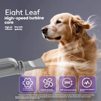 Sèche-cheveux professionnel rechargeable portable haute vitesse pour chiens, avec écran tactile LED intelligent et ions négatifs, idéal pour les grandes races