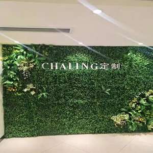 Panneaux muraux de plantes artificielles verticales de style jungle personnalisés, nouveau design, mur de gazon vert, décoration intérieure - Product Image 5