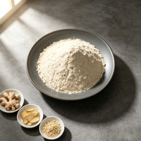 Poudre de gingembre de qualité alimentaire à forte teneur en volatiles, directement de l'usine, pour boissons, pâtisseries, assaisonnements et transformation de la viande