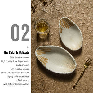 بيع بالجملة من المصنع أطباق قوارب خزفية غير منتظمة يابانية وسوشي بورسلين لمطعم الفندق - Product Image 4