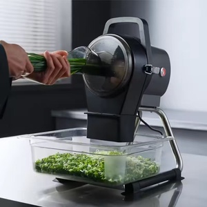 Último modelo de cortadora y peladora de verduras de sobremesa para uso en plantas de procesamiento, para cebolla, chile, frijol y apio, 220V/110V - Product Image 4