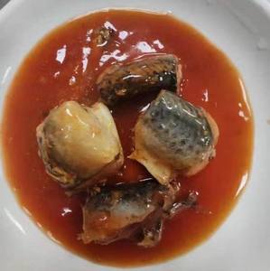 Caballa enlatada de alta calidad <span class=keywords><strong>en</strong></span> salsa de tomate rica para deliciosas comidas listas para comer - Product Image 1