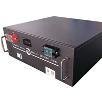 MVVTON 25.6/48V 가정용 태양광 에너지 저장 시스템 100Ah LiFePO4 배터리 5kW 파워 서버 10kW 랙 마운트 (-20-60 3000)