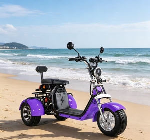 Triciclo Eléctrico sin Escobillas de 2000W, Batería de Litio, Marco de Aleación de Aluminio, Frenos de Disco Hidráulicos, Alcance de 60 Millas, Velocidad de 50 km/h - Product Image 1