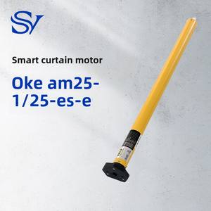 Aoke AM25-1/25-Es-E <span class=keywords><strong>Moteur</strong></span> de rideau électrique pour maison intelligente <span class=keywords><strong>Moteur</strong></span> de <span class=keywords><strong>volet</strong></span> roulant tubulaire à batterie au lithium pour le salon Vente en gros - Product Image 6