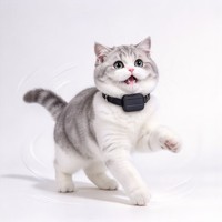 Traceur GPS pour chat super petit, certifié CE, étanche, avec prise en charge 4G et Android