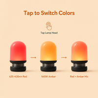 Lampe de nuit LED à intensité variable sensible au toucher, batterie intégrée, lumière rouge chaude rechargeable pour l'éclairage de la chambre à coucher et du couloir