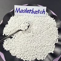 Masterbatch plastique blanc de haute qualité PE PP PET ABS PC pour injection, film soufflé et extrusion