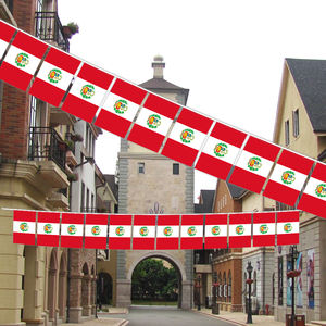 Produttori di vendita diretta 14*21cm <span class=keywords><strong>Peru</strong></span> stringa bandiere per i fan decorazione di festa - Product Image 3