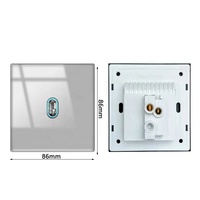 Ew Interrupteurs électriques universels en verre trempé français Uk Eu, interrupteur en verre à tige de bouton à bascule gris argent interrupteurs muraux à lumière LED