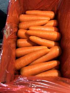 Preis für frische Karotten in China Orange White <span class=keywords><strong>Carrots</strong></span> Vegetables Importeur Chinese 2025 New Crop Carrot - Product Image 4