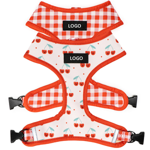 Grosir rompi <span class=keywords><strong>Harness</strong></span> anjing sesuai dada <span class=keywords><strong>Harness</strong></span> hewan peliharaan reversibel Set mewah Fashion bernapas Dachshund - Product Image 4