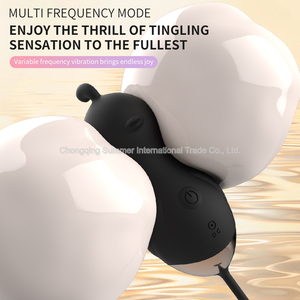 Hochwertige Freis prec heinrich tung Sexspielzeug Klitoris Vibrator Fernbedienung USB wiederauf ladbar wasserdicht für Multi-Pattern für Frauen - Product Image 6