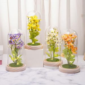 Seiden-Kunstblumen-Gänseblümchen-Ornament mit Glasabdeckung LED-Nachtlicht Kreatives Valentinstag-Geburtstagsgeschenk für Freundin Großhandel - Product Image 2