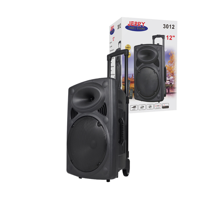 High Quality OEM Speaker System Mobile Portable Trolley Speaker Power Amplifier