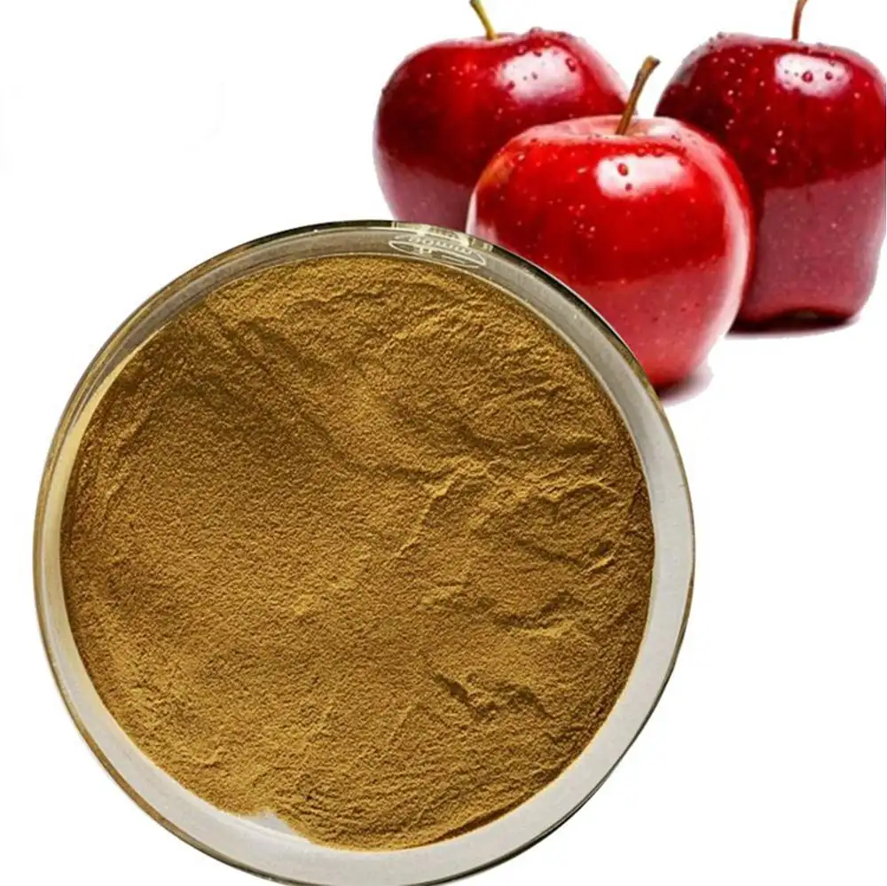 Natural puro de la célula de vástago de apple polvo de extracto de verde orgánico extracto de manzana 80% de 90%